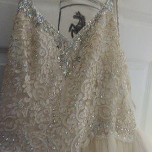 Quinceñera/ Sweet 16 Dress